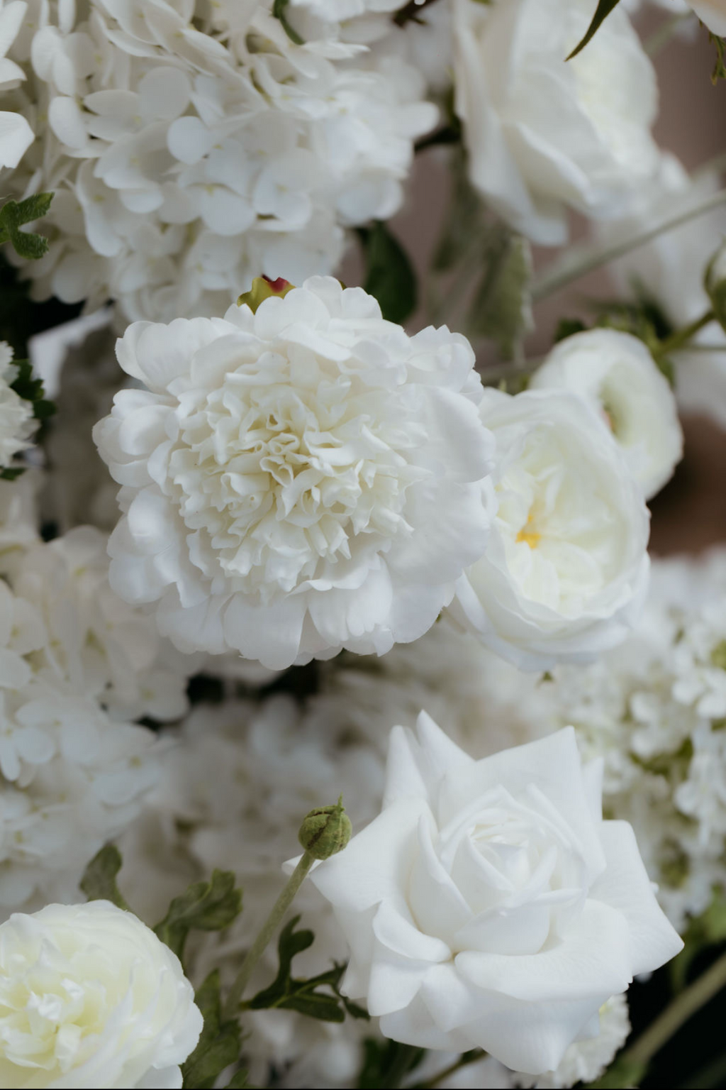 Classic Pillars in White