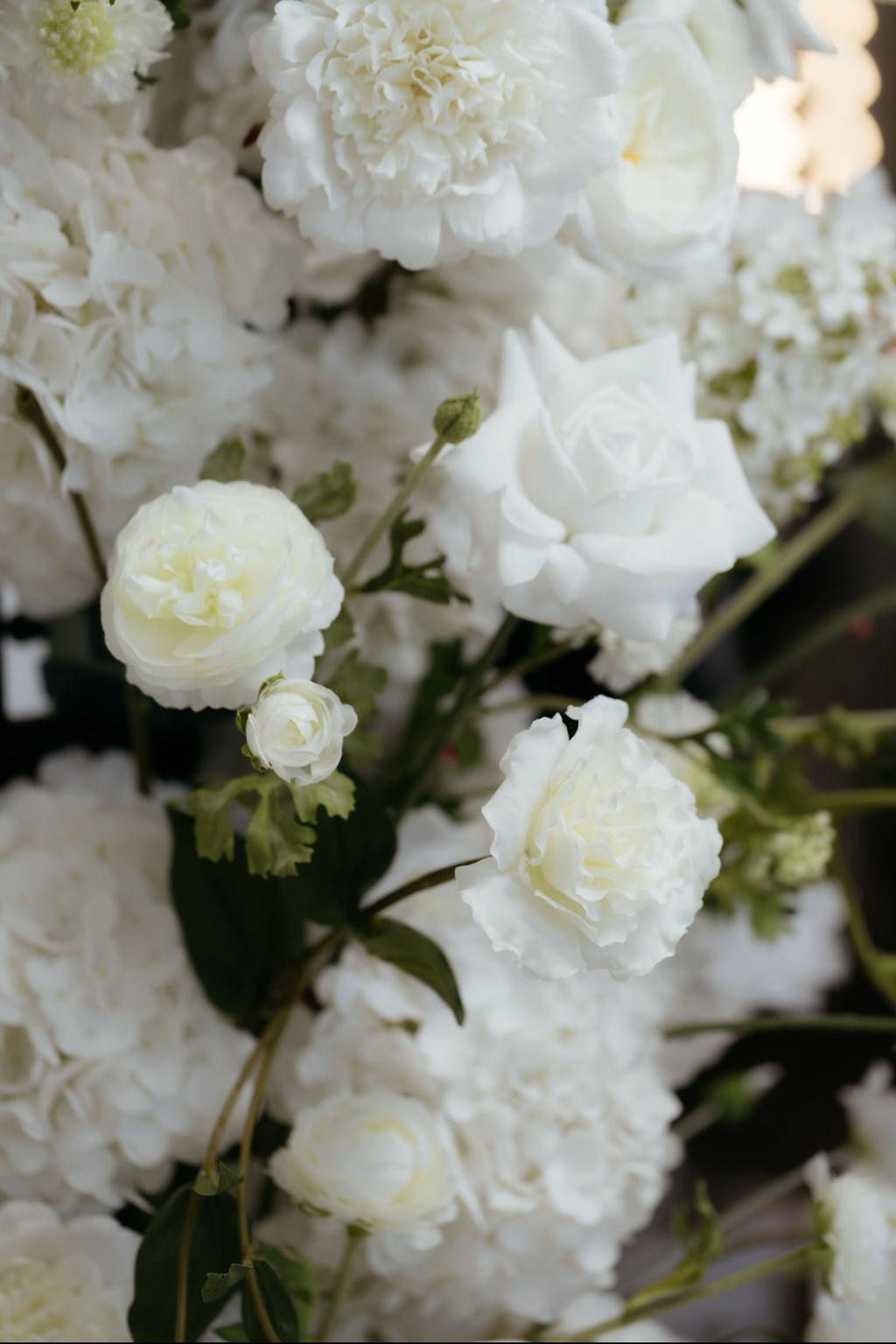 Classic Pillars in White